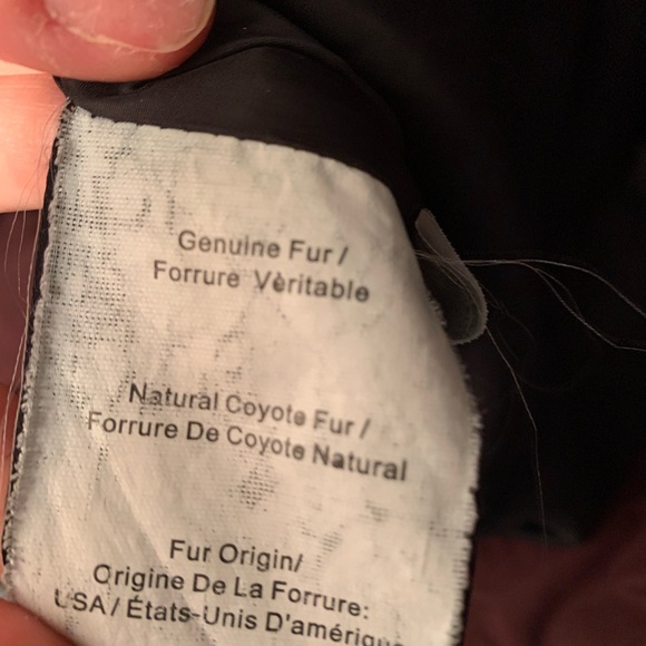 DANIER - Genuine leather Burgundy coat with Coyote Fur - Picture 12 of 12